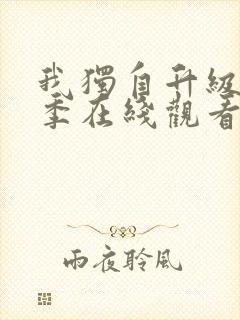 我独自升级第2季在线观看全集免费播放