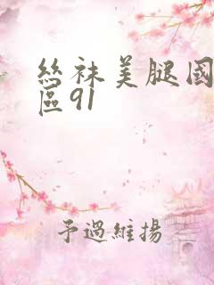 丝袜美腿国产一区91
