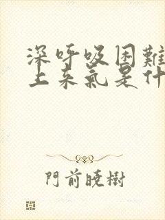 深呼吸困难吸不上来气是什么原因