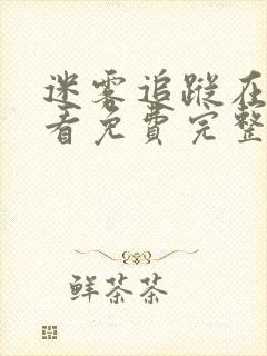 迷雾追踪在线观看免费完整版24集