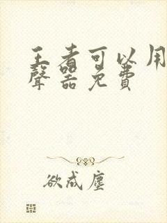 王者可以用的变声器免费