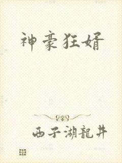神豪狂婿
