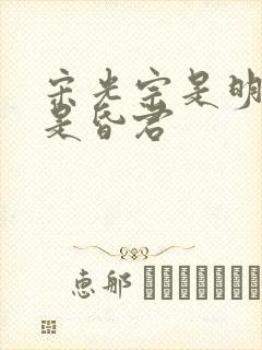 宋光宗是明君还是昏君