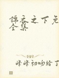 锦衣之下免费看全集