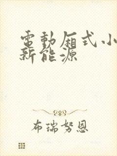 电动厢式小货车新能源