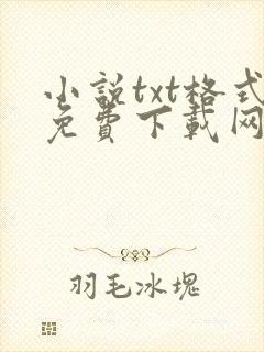 小说txt格式免费下载网站
