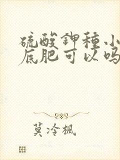 硫酸钾种小麦做底肥可以吗