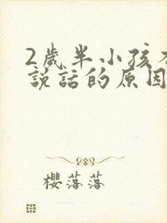 2岁半小孩不会说话的原因