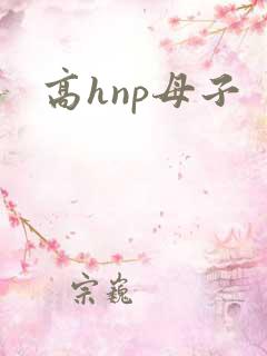 高hnp母子