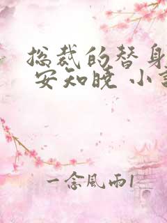 总裁的替身前妻 安知晓 小说