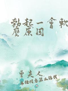 勃起一会软了什么原因
