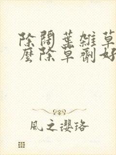 除阔叶杂草用什么除草剂好 除阔叶杂草用什么除草剂好