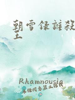 朝雪录谁杀了晋王