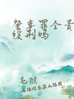 肇事罪全责能判缓刑吗