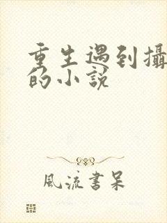 重生遇到摄政王的小说