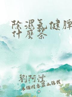 除湿气健脾胃喝什么茶