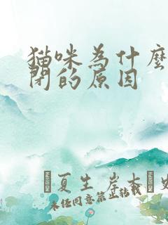猫咪为什么会尿闭的原因 猫咪为什么会尿闭的原因