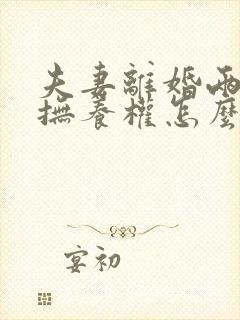 夫妻离婚两孩子抚养权怎么判定
