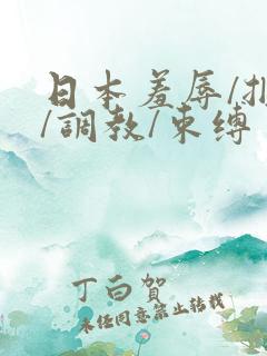 日本羞辱/捆绑/调教/束缚