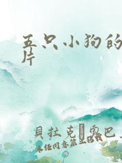 五只小狗的动画片