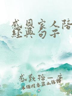 感恩家人陪伴的经典句子