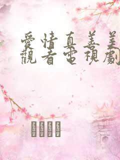爱情真善美免费观看电视剧 爱情真善美免费观看电视剧