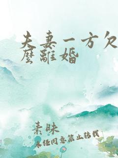 夫妻一方欠债怎么离婚