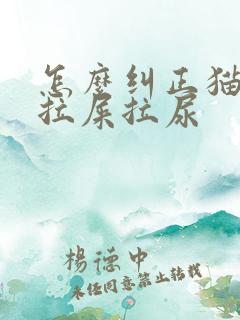 怎么纠正猫咪乱拉屎拉尿