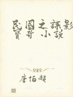 民国之谍影风云宝哥 小说