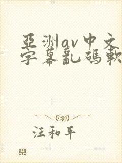 亚洲av中文字字幕乱码软件