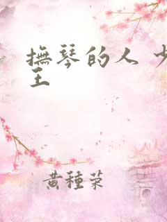 抚琴的人 少年王