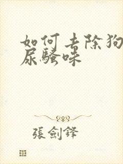 如何去除狗狗的尿骚味