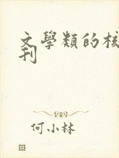 文学类的核心期刊