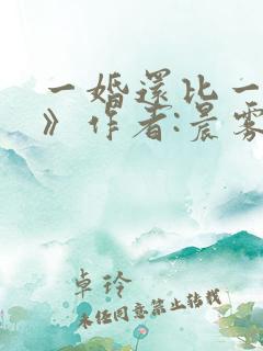 一婚还比一婚高》作者:晨雾的光