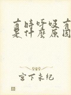 有时呼吸有鸣音是什么原因