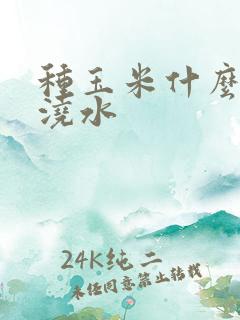 种玉米什么时候浇水