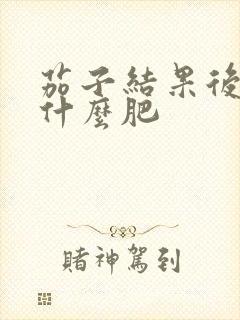 茄子结果后要施什么肥