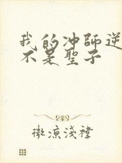 我的冲师逆徒才不是圣子