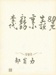 李毅重生80年代的小说免费阅读