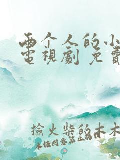 两个人的小森林电视剧 免费