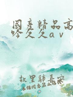 国产精品高潮呻吟久久aⅴ