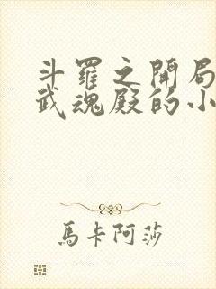 斗罗之开局加入武魂殿的小说
