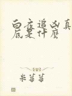 白夜追凶真相到底是什么