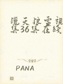 猎天狼电视剧全集36集在线观看免费高清