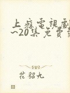 上瘾电视剧16~20集免费观看全集