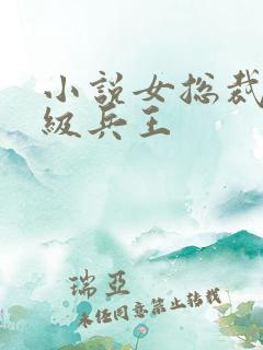 小说女总裁的顶级兵王