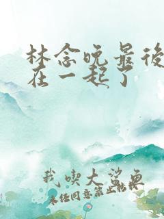 林念晚最后和谁在一起了