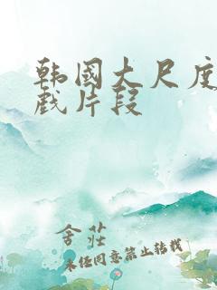 韩国大尺度激情戏片段