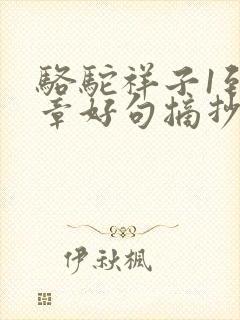 骆驼祥子1到5章好句摘抄