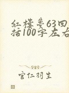 红楼梦63回概括100字左右